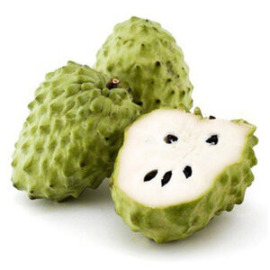 Annona atemoya