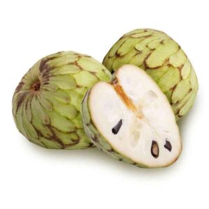 Annona cherimola