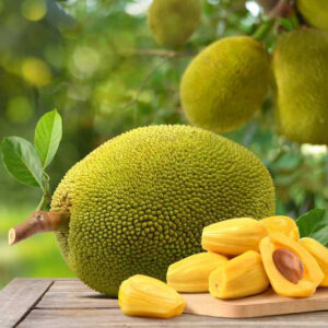 Jackfruit