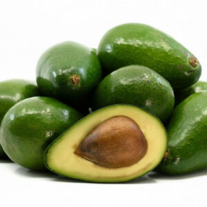 Avocado zutano