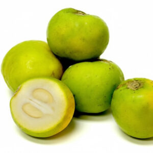 Casimiroa edulis (White Sapote)
